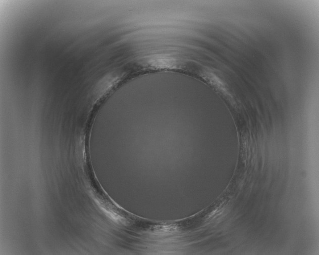 X0000066970398200603311454