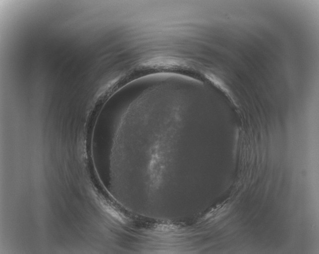 X0000066970399200603311454