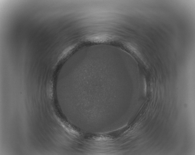 X0000066970400200603311454