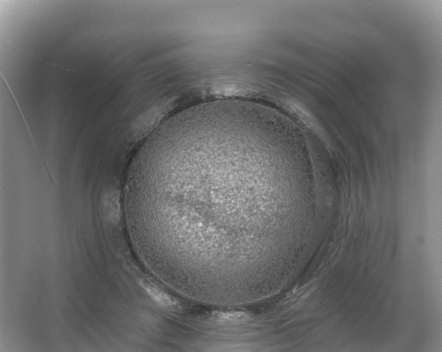 X0000066970401200603311454