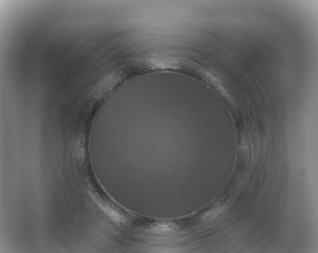 X0000066970402200603311454