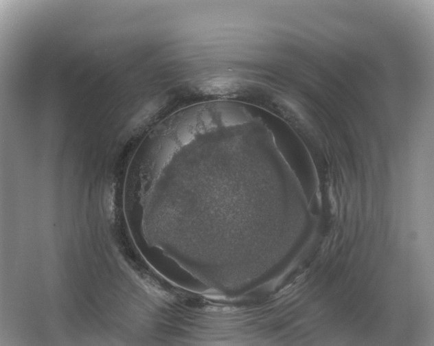 X0000066970404200603311454