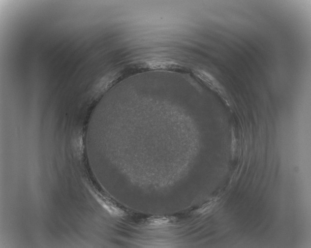 X0000066970405200603311454