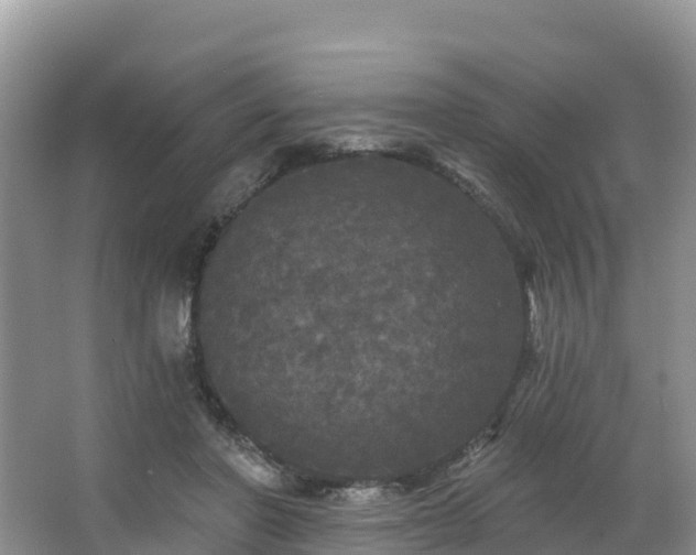 X0000066970406200603311454