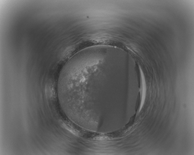 X0000066970408200603311454