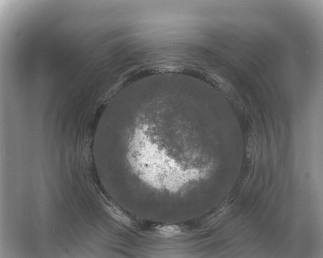 X0000066970409200603311454