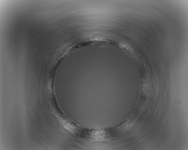 X0000066970410200603311454