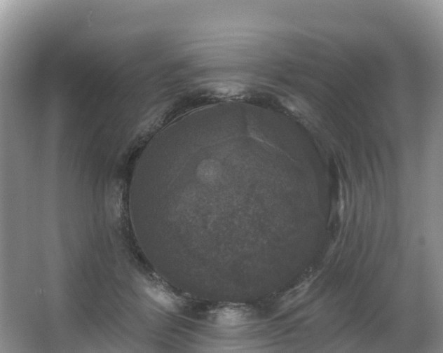 X0000066970412200603311454