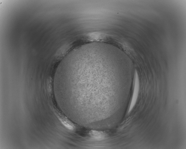 X0000066970413200603311454