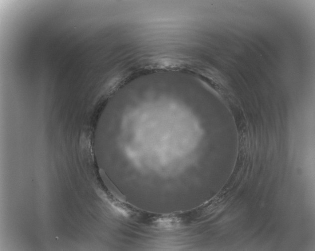 X0000066970415200603311454