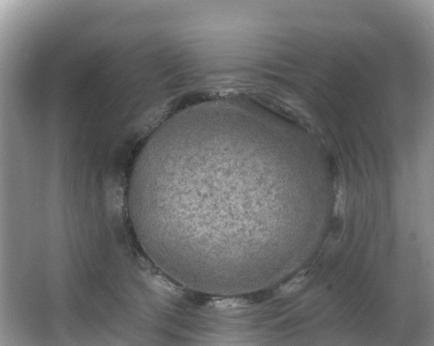 X0000066970417200603311454