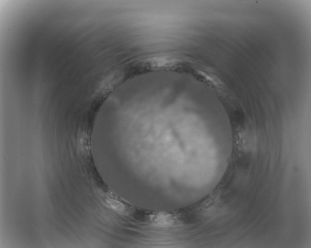 X0000066970419200603311454