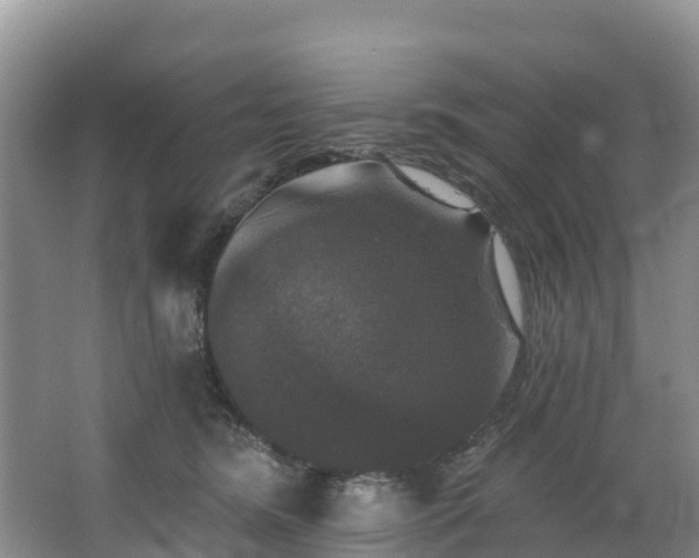 X0000066970420200603311454