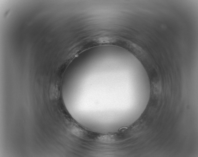 X0000066970422200603311454