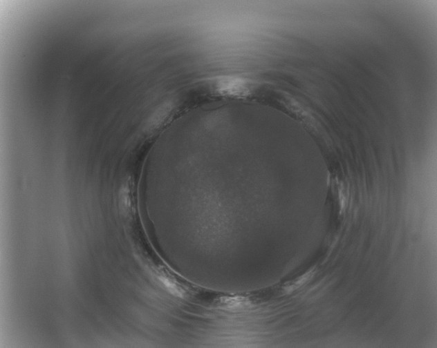 X0000066970424200603311454