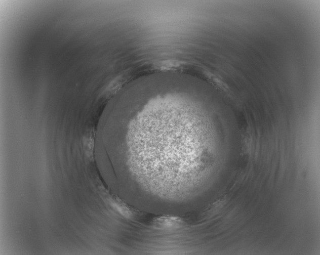 X0000066970427200603311454