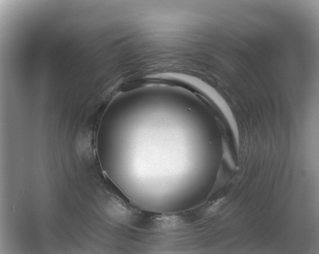 X0000066970428200603311454