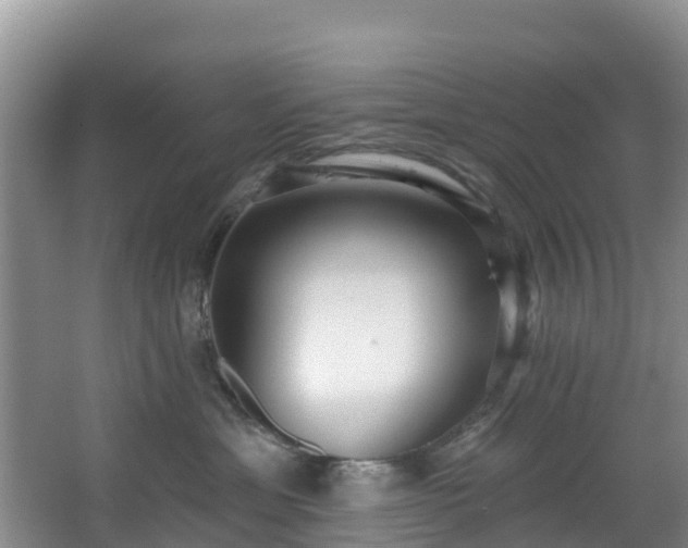 X0000066970429200603311454