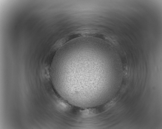 X0000066970430200603311454