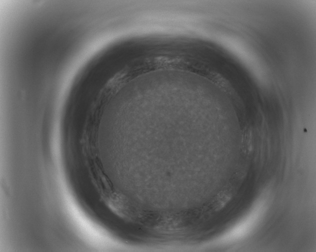 X0000066970431200603311454