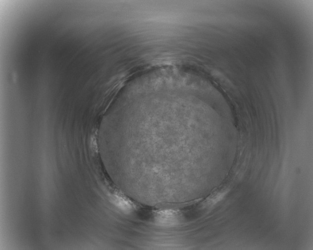 X0000066970432200603311454