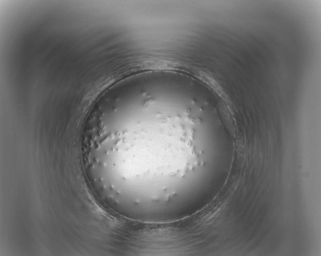 X0000066970433200603311453