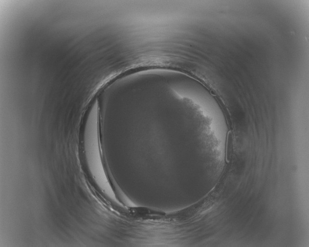 X0000066970434200603311453