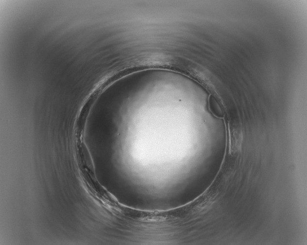 X0000066970435200603311453