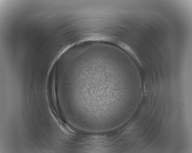 X0000066970436200603311453