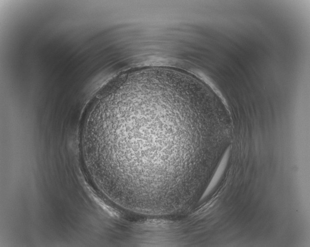 X0000066970437200603311453