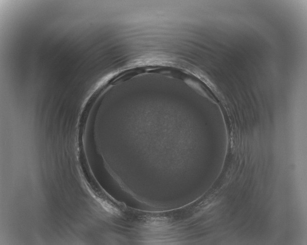 X0000066970438200603311453