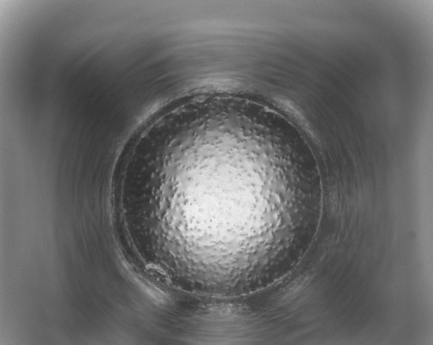 X0000066970439200603311453