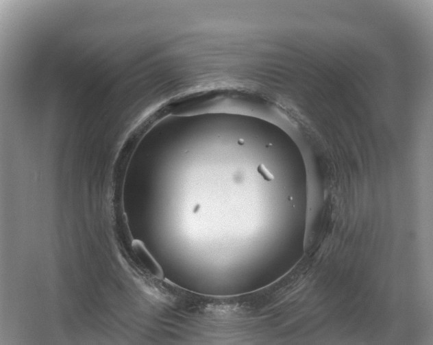 X0000066970440200603311453