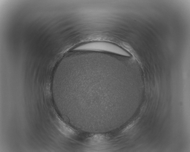 X0000066970441200603311453