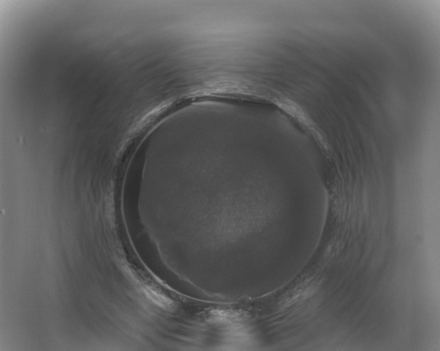 X0000066970442200603311453