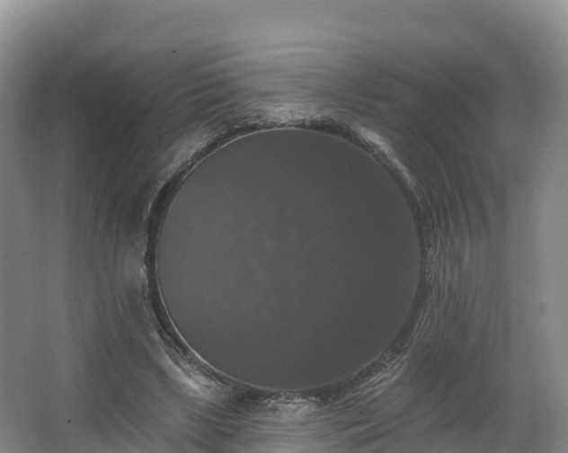 X0000066970443200603311453