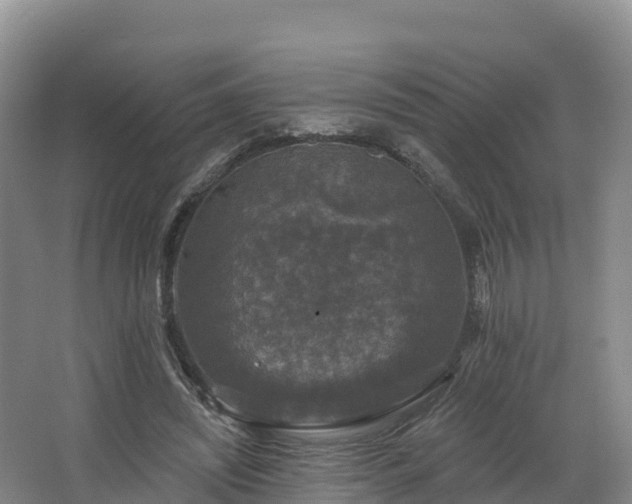 X0000066970444200603311453