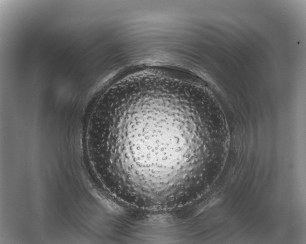 X0000066970446200603311453