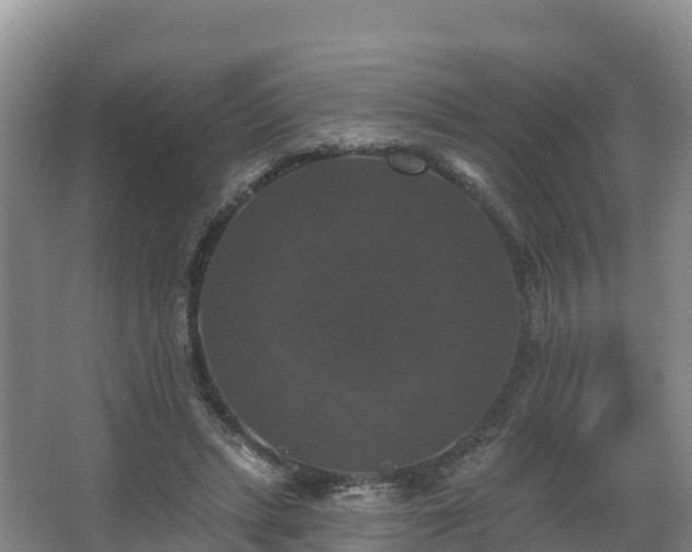 X0000066970447200603311453