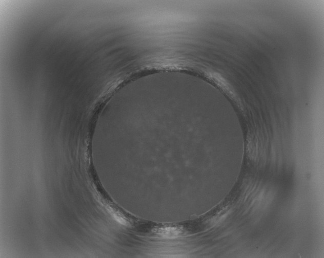 X0000066970449200603311453