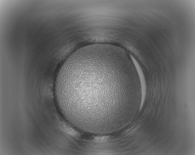 X0000066970450200603311453