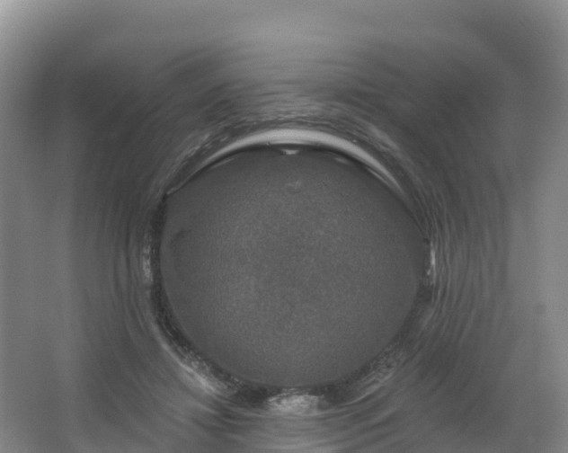 X0000066970452200603311453