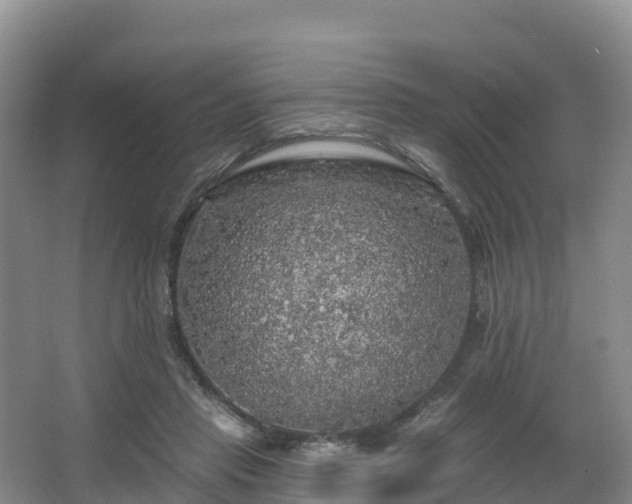 X0000066970453200603311453