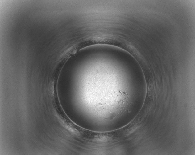 X0000066970454200603311453