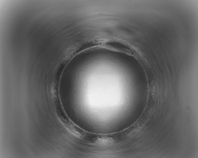 X0000066970455200603311453