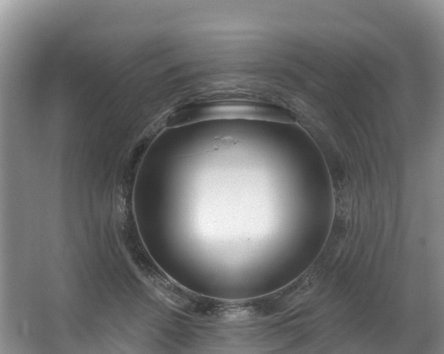 X0000066970456200603311453