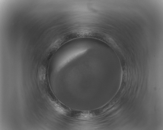 X0000066970458200603311453