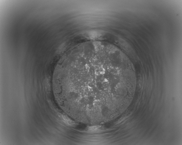 X0000066970461200603311453