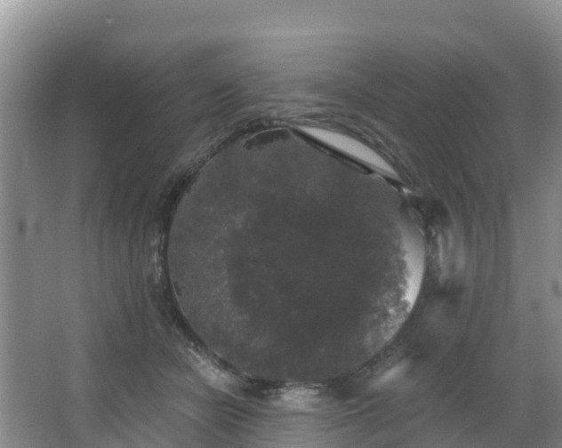 X0000066970462200603311453