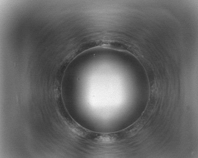 X0000066970464200603311453